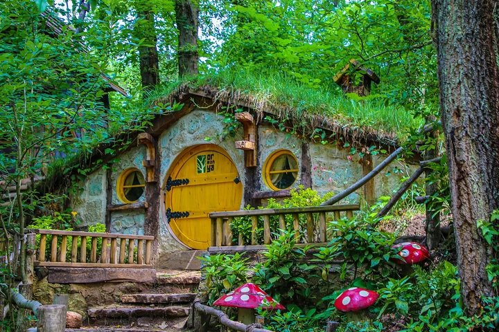 How much is the Forest Entrance Fee?